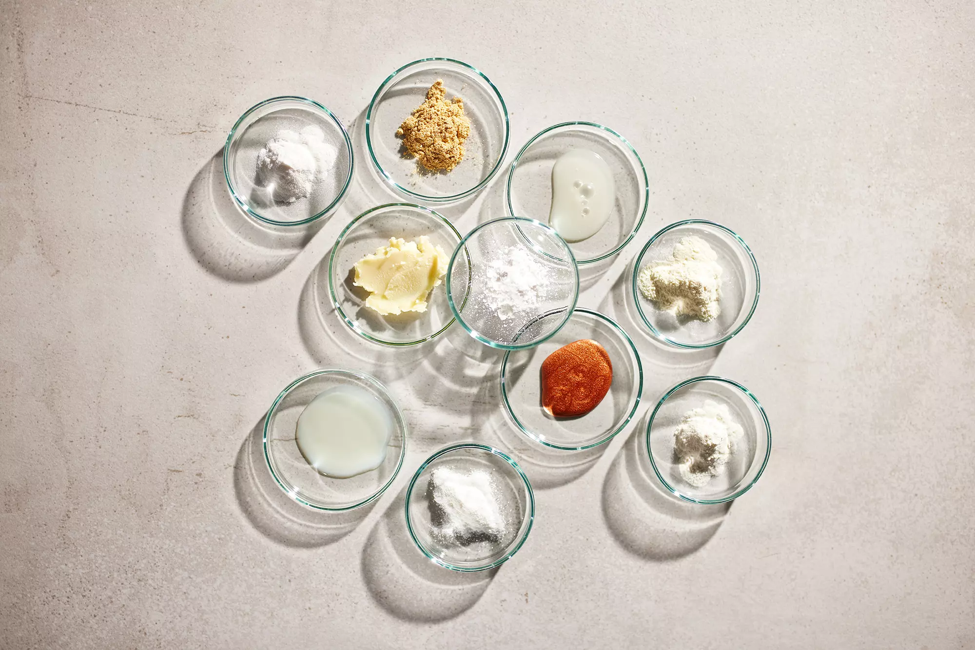 Norevo Confectionery Performers