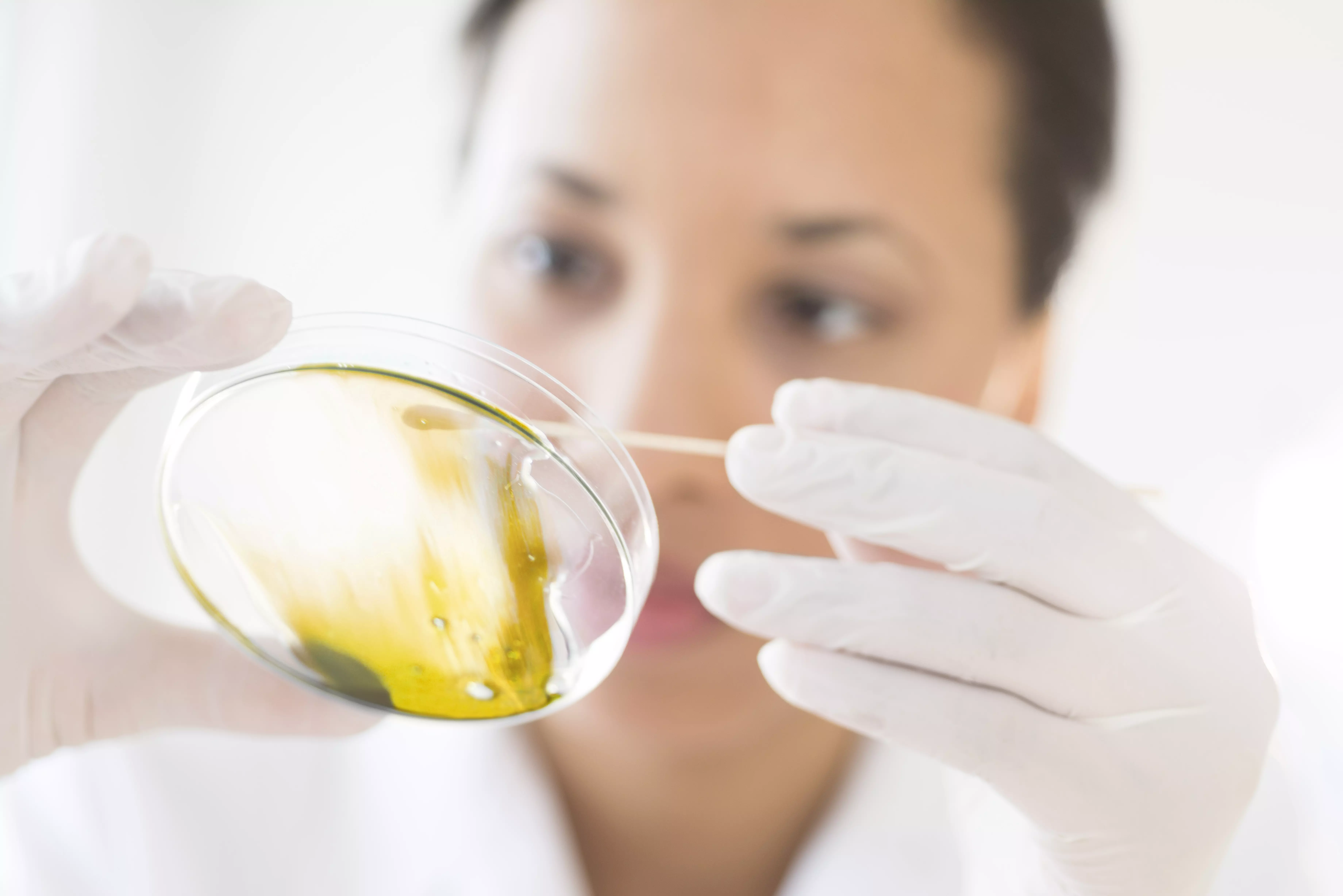 Norevo_Low_Bac_Honey