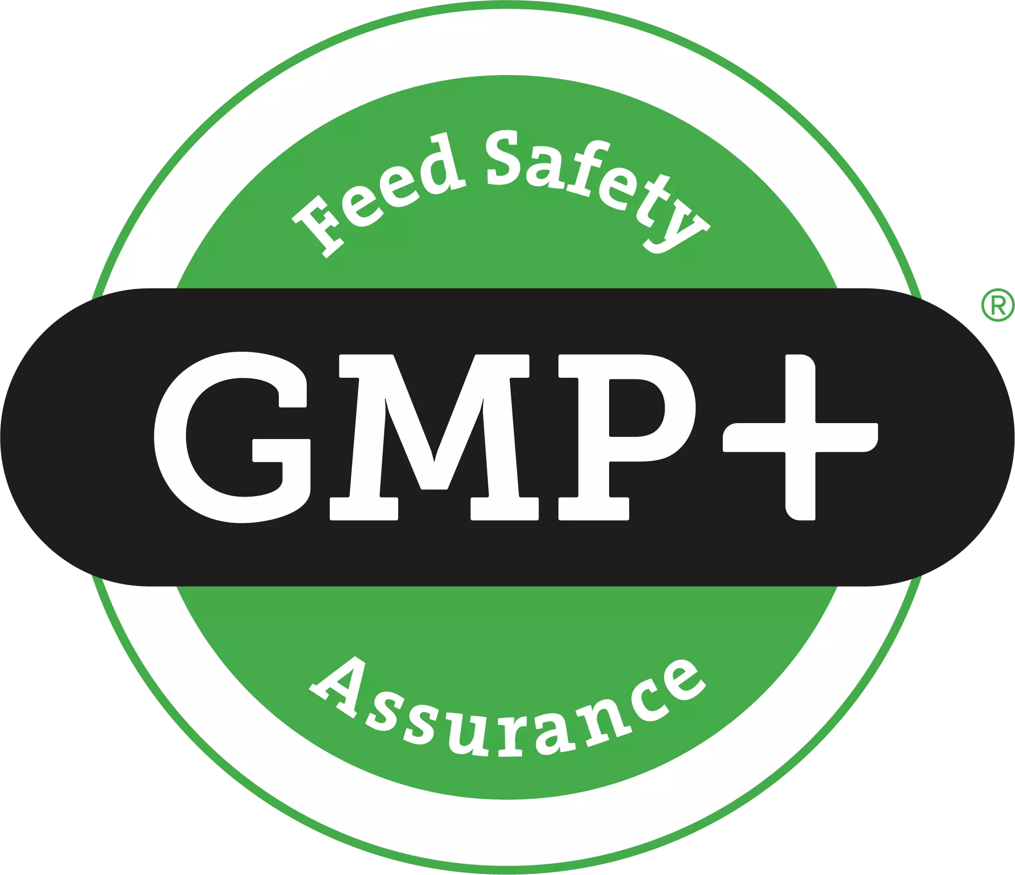 GMP FSA Logo